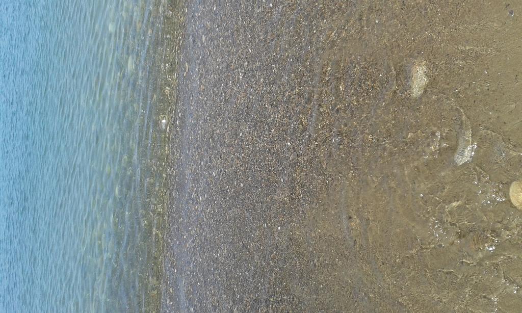Villa Arte Mare e Cultura Pettineo Esterno foto